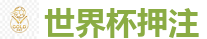 买球网站 - FIFA世界杯亚洲投注平台